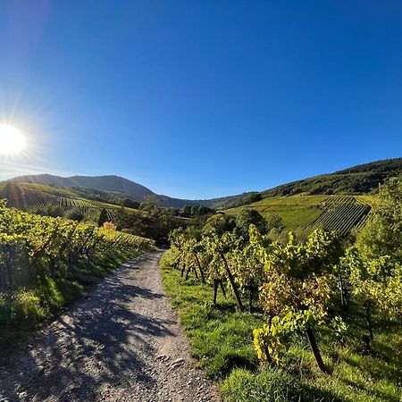Chambre Du Vigneron - Domaine Leon Bleesz Reichsfeld エクステリア 写真