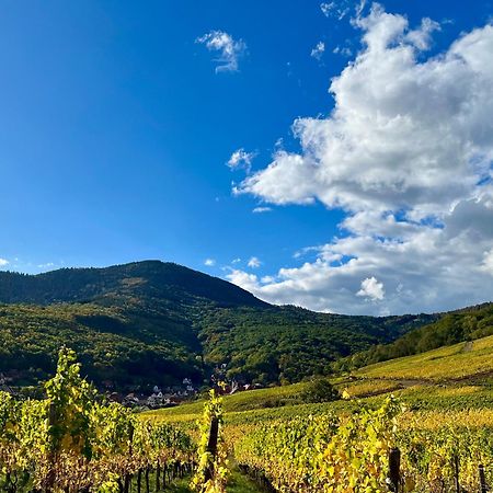 Chambre Du Vigneron - Domaine Leon Bleesz Reichsfeld エクステリア 写真