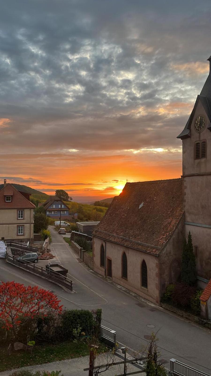 Chambre Du Vigneron - Domaine Leon Bleesz Reichsfeld エクステリア 写真